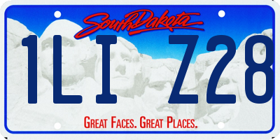 SD license plate 1LIZ28