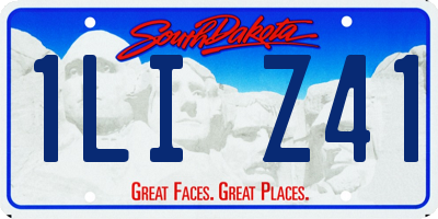 SD license plate 1LIZ41