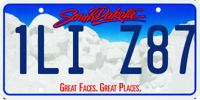 SD license plate 1LIZ87