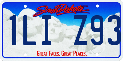 SD license plate 1LIZ93