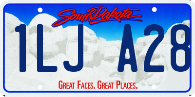 SD license plate 1LJA28