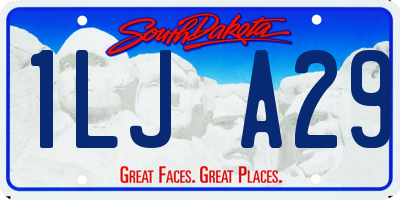 SD license plate 1LJA29