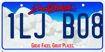SD license plate 1LJB08
