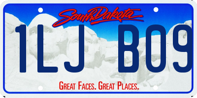 SD license plate 1LJB09