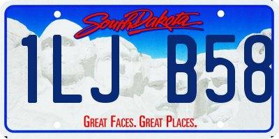 SD license plate 1LJB58