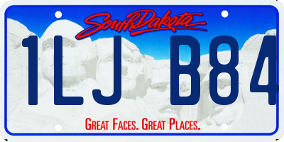 SD license plate 1LJB84