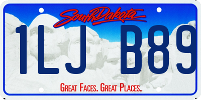 SD license plate 1LJB89