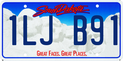 SD license plate 1LJB91