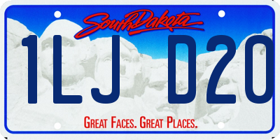 SD license plate 1LJD20
