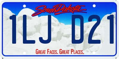 SD license plate 1LJD21