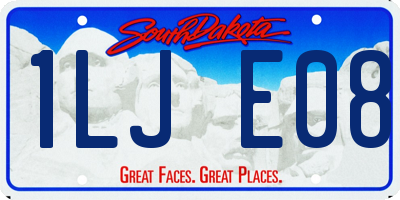 SD license plate 1LJE08