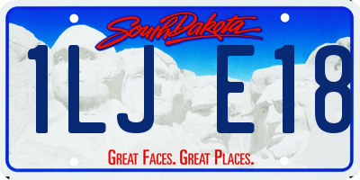 SD license plate 1LJE18