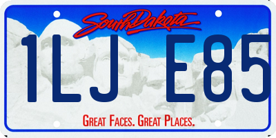 SD license plate 1LJE85