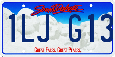 SD license plate 1LJG13