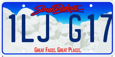 SD license plate 1LJG17