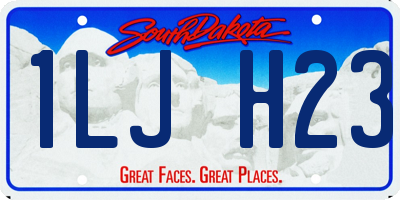 SD license plate 1LJH23