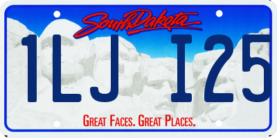SD license plate 1LJI25
