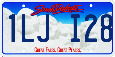 SD license plate 1LJI28
