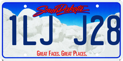 SD license plate 1LJJ28