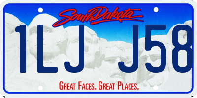 SD license plate 1LJJ58