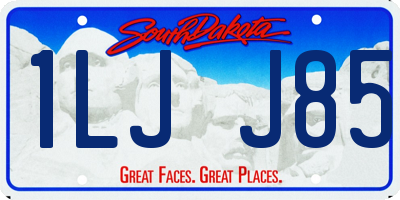 SD license plate 1LJJ85