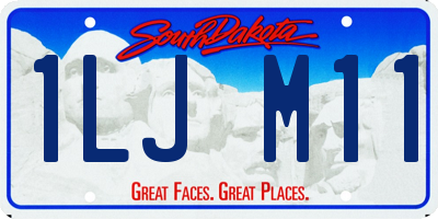 SD license plate 1LJM11