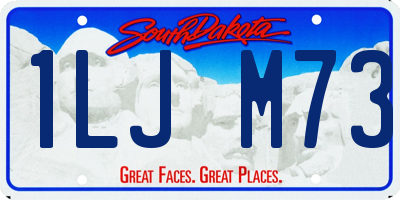 SD license plate 1LJM73