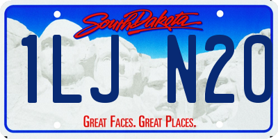 SD license plate 1LJN20