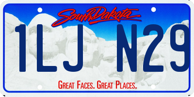 SD license plate 1LJN29