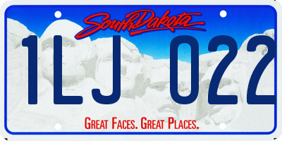 SD license plate 1LJO22