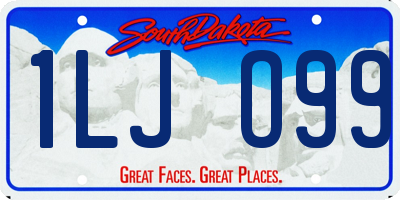 SD license plate 1LJO99