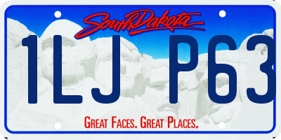 SD license plate 1LJP63