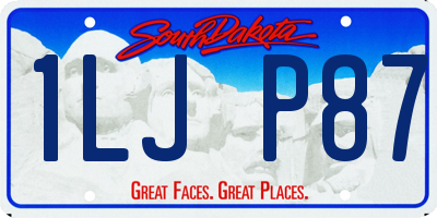 SD license plate 1LJP87