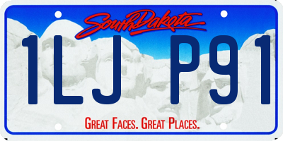 SD license plate 1LJP91