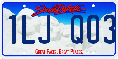 SD license plate 1LJQ03