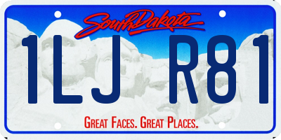 SD license plate 1LJR81