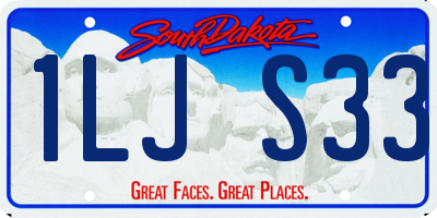 SD license plate 1LJS33