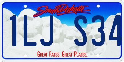 SD license plate 1LJS34