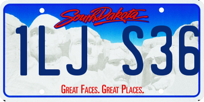 SD license plate 1LJS36
