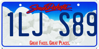 SD license plate 1LJS89
