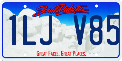 SD license plate 1LJV85