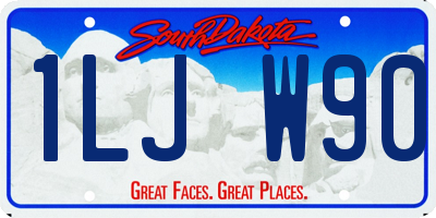 SD license plate 1LJW90