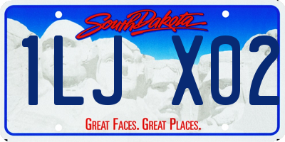 SD license plate 1LJX02