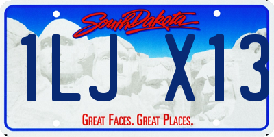 SD license plate 1LJX13