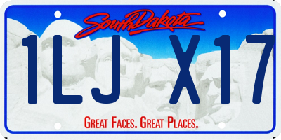 SD license plate 1LJX17
