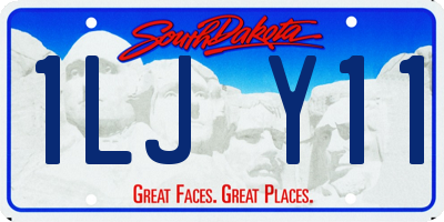 SD license plate 1LJY11