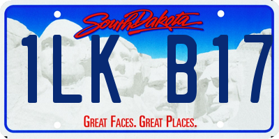 SD license plate 1LKB17
