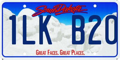 SD license plate 1LKB20