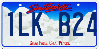 SD license plate 1LKB24