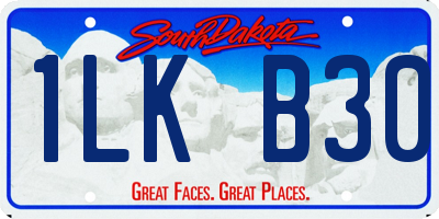 SD license plate 1LKB30